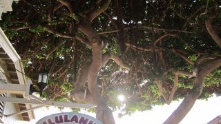 クーポンでサービスあります。