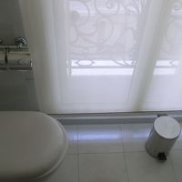 問題のトイレ。ブラインドが薄くて道路向かいが見える(>_<)