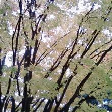 北の紅葉は早い♪