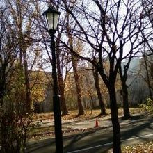 １０月でもけっこう寒い♪