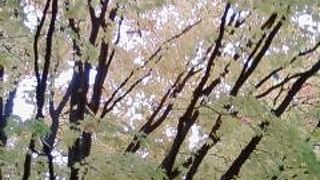 こんな都会に広い公園が♪