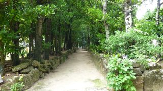 マイナスイオンがいっぱい♪