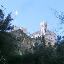 旧市街の麓から見上げた大公宮殿(時計塔？)。