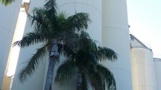 大人になって社会科見学