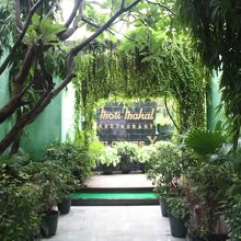 緑あふれるアプローチ