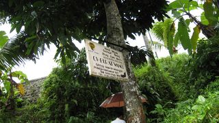 泡だちのよい自然派ソープ♪