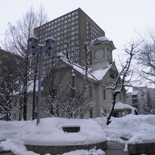 札幌時計台♪