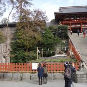 大銀杏がなくなってしまった鶴岡八幡宮