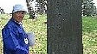 ボランティアガイドさんが素晴らしい！