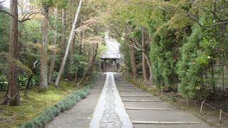 寿福寺に立ち寄りました。