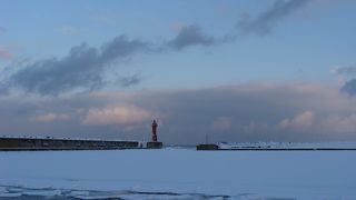 砕氷船もいいですが網走海岸からの流氷の眺めも素敵ですよ