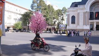 ゆっくり眺められない