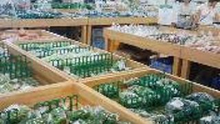 新鮮な野菜がいっぱいです