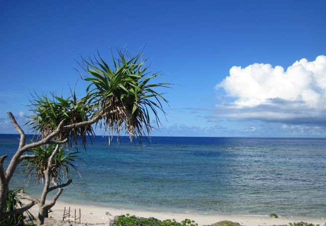 仲本海岸 クチコミ アクセス 営業時間 西表島 フォートラベル