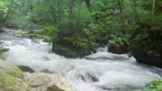 マイナスイオンがいっぱいです