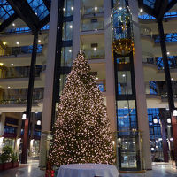 クリスマス時期のロビーです