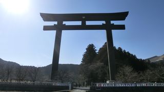 田んぼにそびえる大鳥居