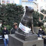 日本一有名な犬の像。集合場所になっていて、いつも人だかりが。