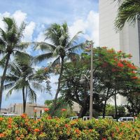 建物も古くなってきた様子