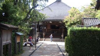 忍者寺に立ち寄りました。