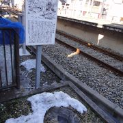 市川真間駅南口線路際に江戸名所図会の鏡石があります