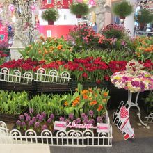 入口にきれいな花が飾ってあった