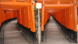 なかなか立派でした！