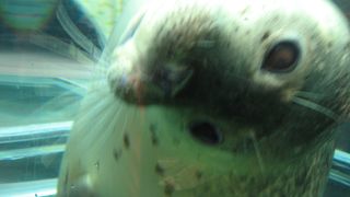 一度行きたかったけど、次も・・・