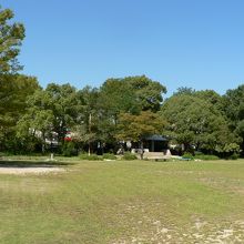 上皇の御所で鳥羽伏見の戦いの古戦場跡にもなった鳥羽離宮跡公園