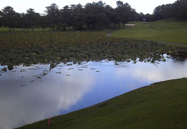伊勢カントリーも雨