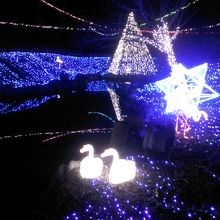 リフトに乗ってぜひ見てほしい