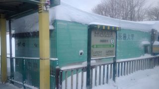 駅から大学に直通