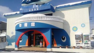 新十津川ではここに寄らなきゃ損