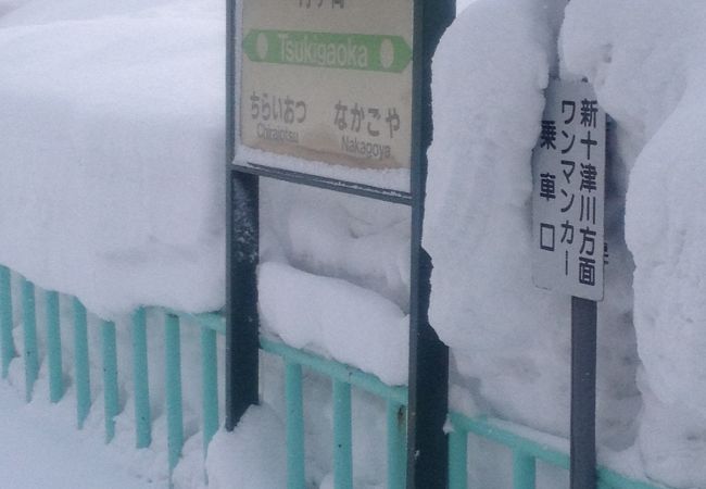 ログハウスのような駅舎