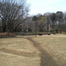 縦の歩き跡じゃなくて、後ろで横に走っている道ですよ〜