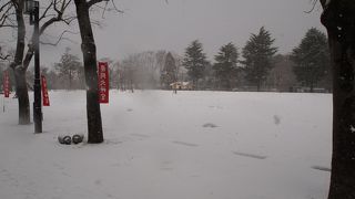 公園は一面雪世界でした