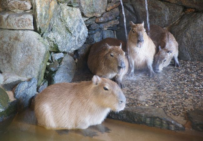 長崎バイオパーク