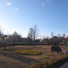 天王寺公園 のんびりできます。