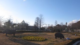 動物園、美術館利用者は無料。