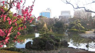 天王寺公園の中にあります