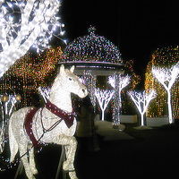 イルミネーション