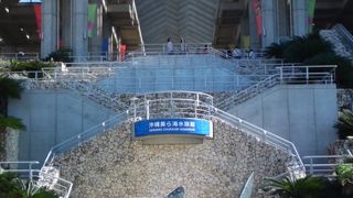 ジンベイザメすげぇ～！　優雅に泳ぐ姿はすごかった！！！　大阪から西の水族館で1位2位を争っていると思います．