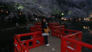 愛犬と一緒にお花見～