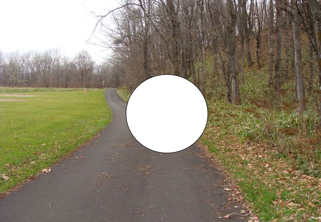 上士幌町航空公園キャンプ場 クチコミ アクセス 営業時間 新得 芽室 士幌 フォートラベル