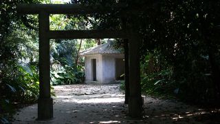 最近パワースポットとして若者の人気を集めています。