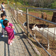 子どもと一緒に１日遊べます