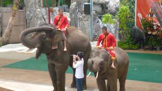 ドゥシット動物園