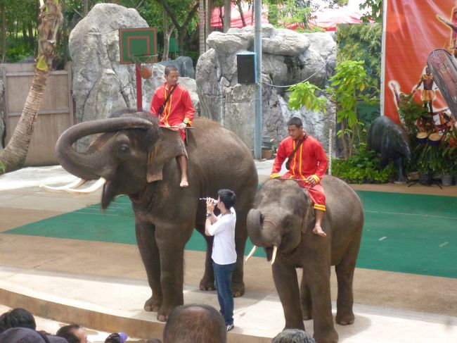 ドゥシット動物園