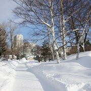 駅を出るともうそこは中島公園です
