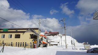 赤と白に塗られた美しい姿がとても目立ちます